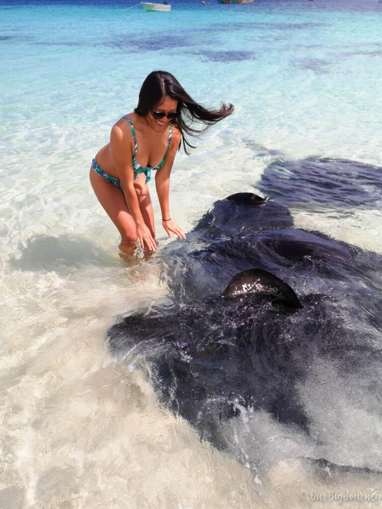 Hamelin-Bay-Stingray-Australia