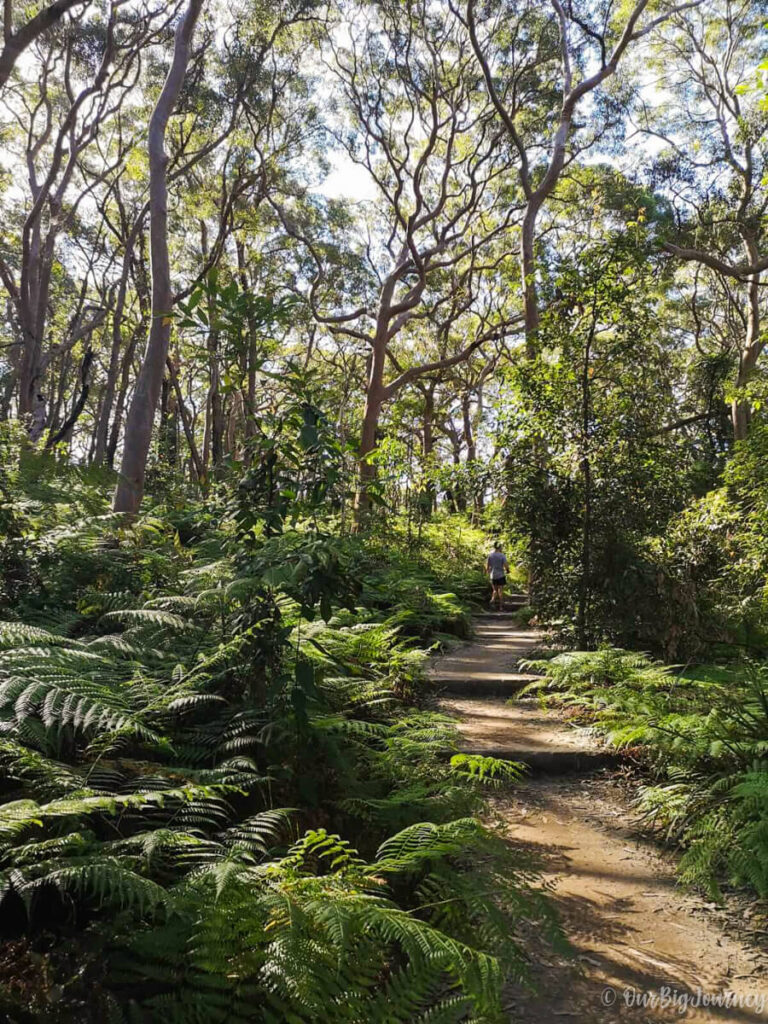 Best Hikes in Sydney Taronga Zoo