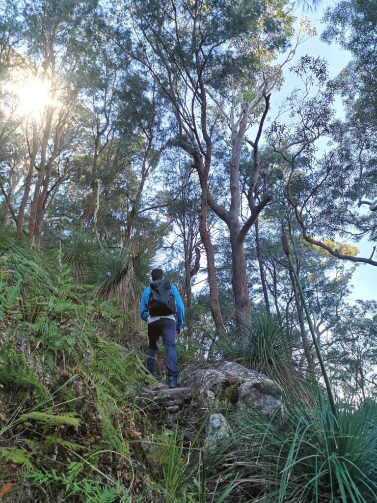 Hiking in Ku-ring-gai Chase National Park