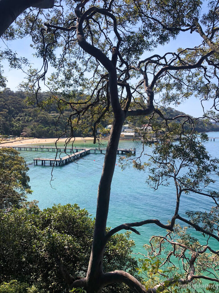 A short hike in Sydney Chowder Bay