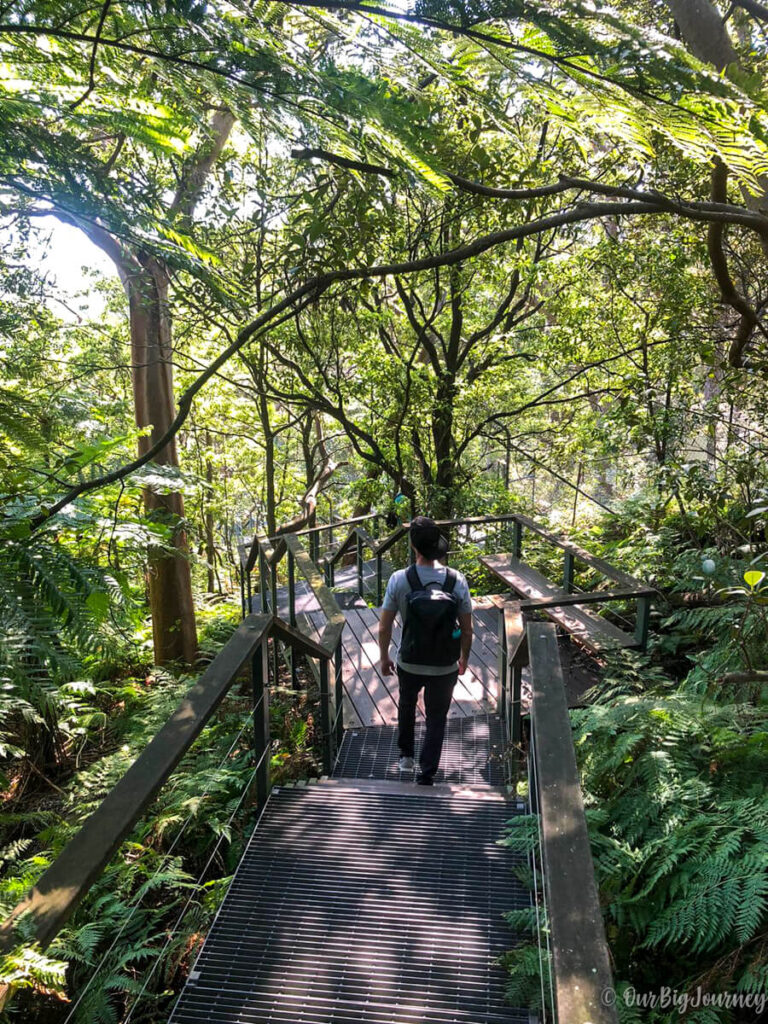 Best Hikes in Sydney Balmoral Beach