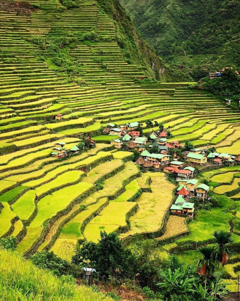Batad-Rice-Fields-Philippines