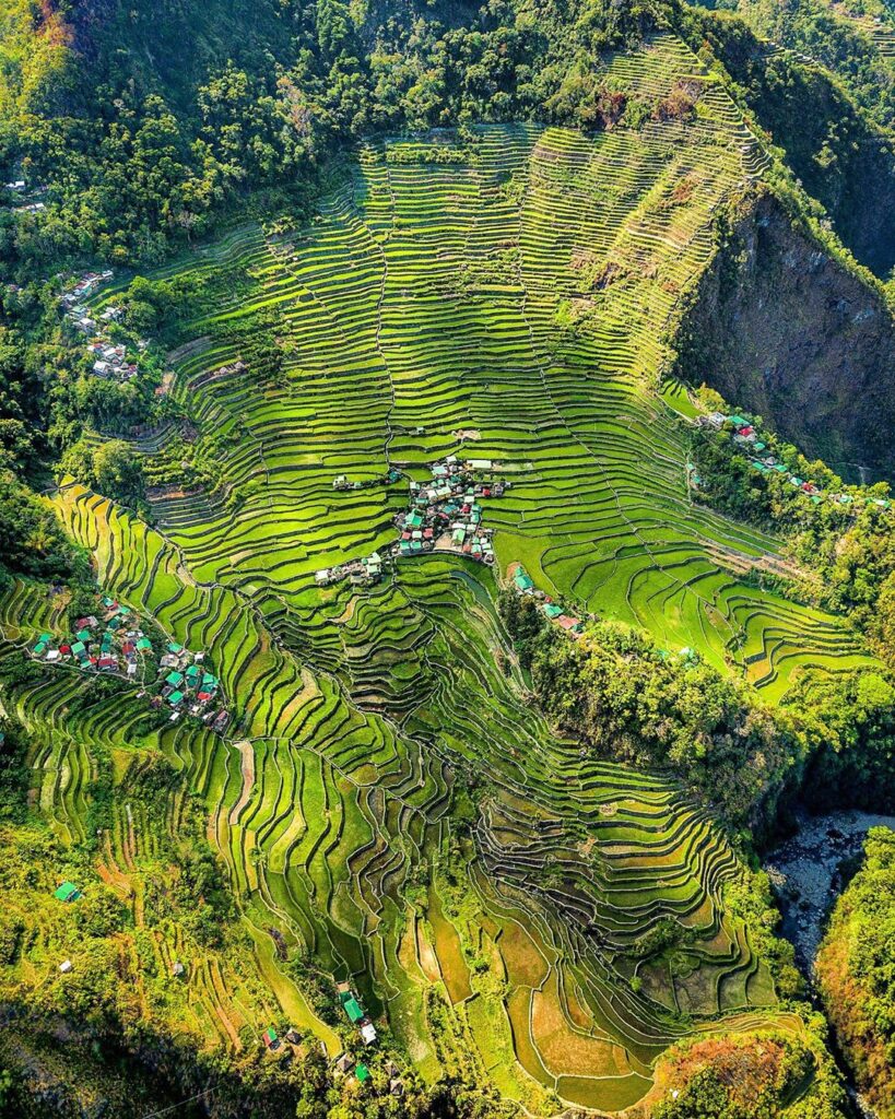 Batad Rice Fields Philippines drone