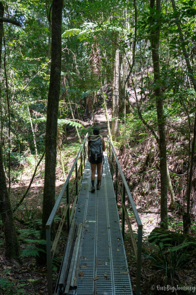 Blue Gum Loop & Rocky Crossing Track bridge