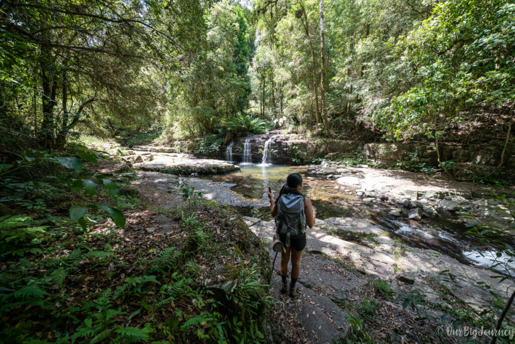 Barrington Tops national park 