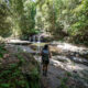 Hiking at Barrington Tops National Park | Blue Gum Loop & Rocky Crossing Track