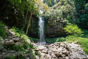 Crystal Shower Falls in Dorrigo National Park Australia