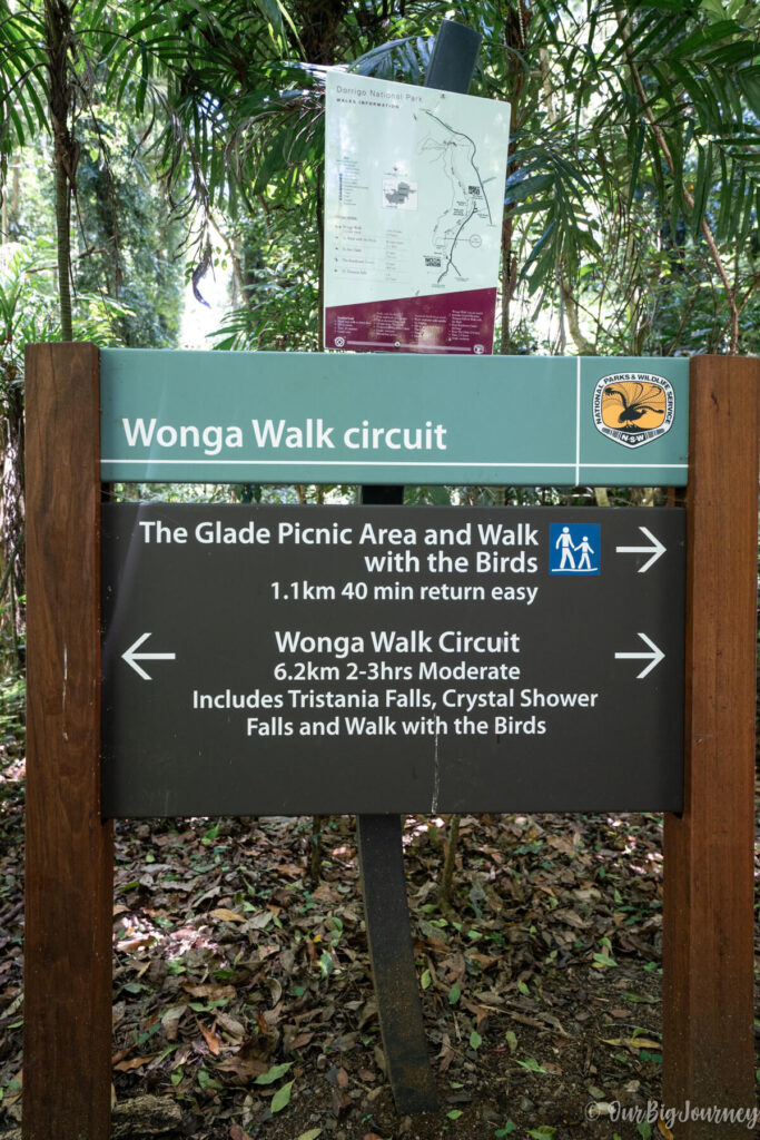 Wonga Walk circuit sign in Dorrigo National Park
