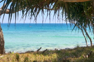 Noosa beach views