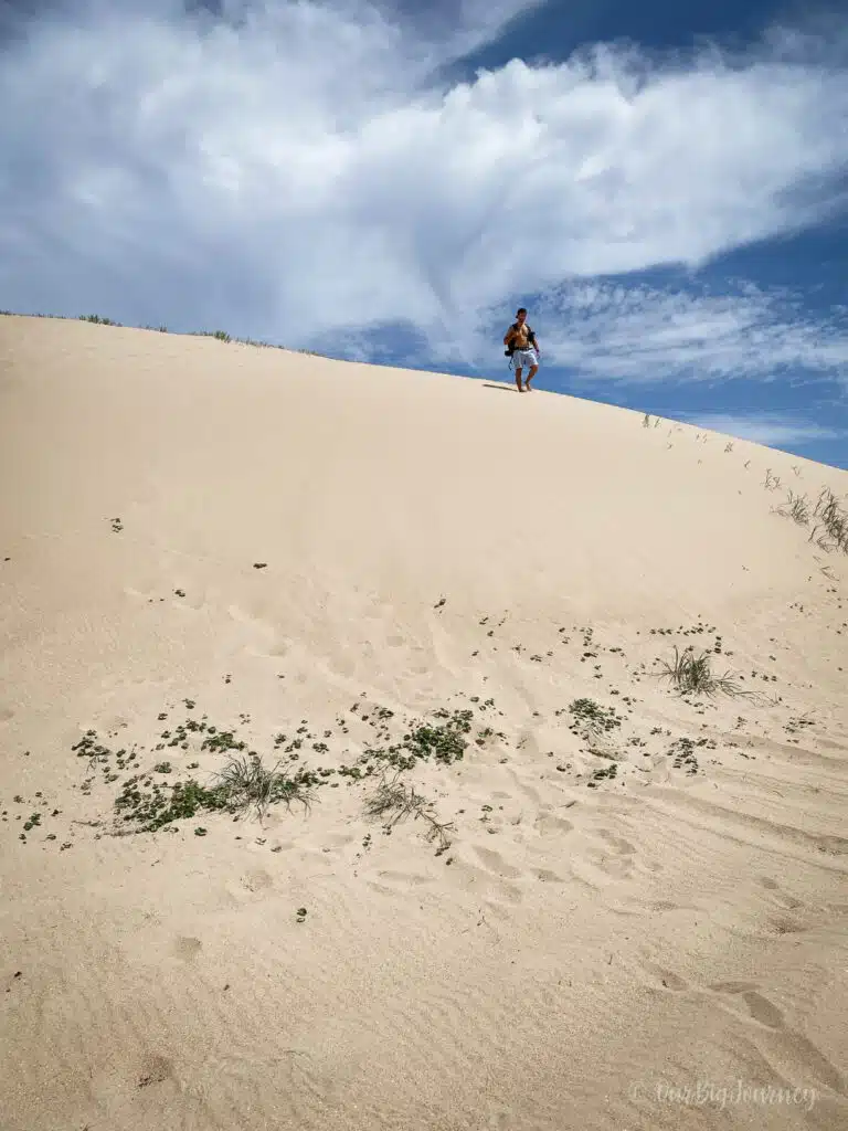 Stockton Sand Dunes Newcastle Australia