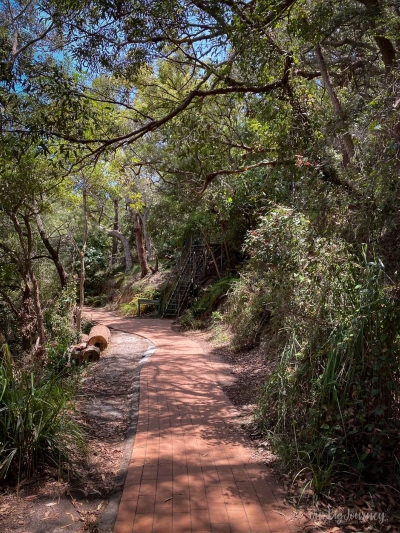 Tomaree Head Summit Walk paved path