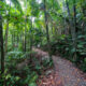 Eungella National Park | Mackay Region