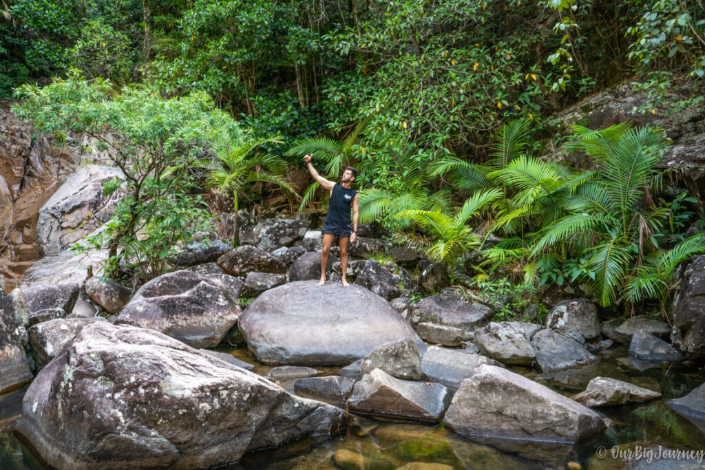 Eungella National Park Finch hatton gorge hike