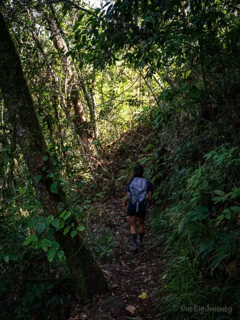 Hike to Wallaman Falls