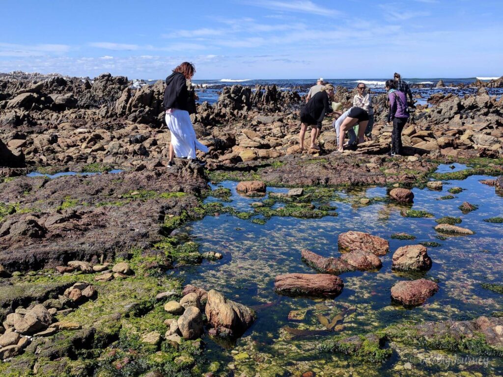 Pringle Bay Cape Town