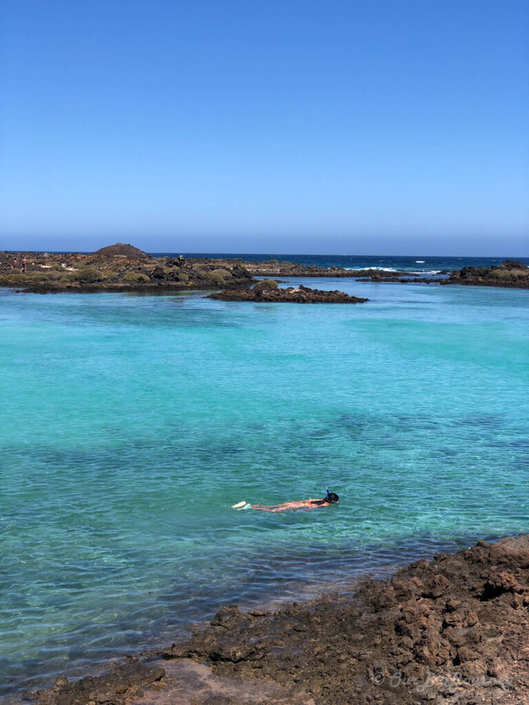 Snorkel and swim Isla de lobos