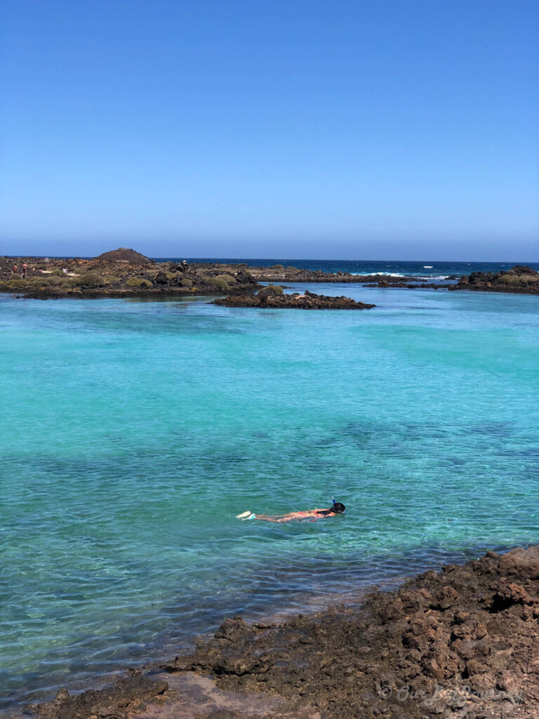 Snorkel and swim Isla de lobos