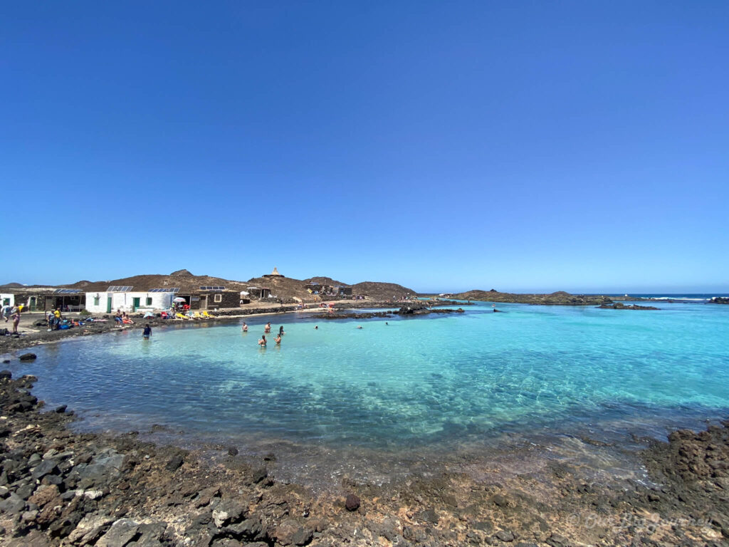 Swimming at Isla de Lobos