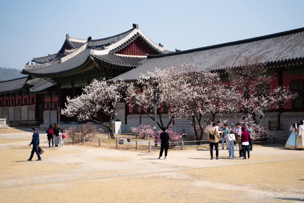 Gyeongbokgung Royal Korean Palace entrance