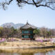 Visit Gyeongbokgung: a Royal Korean Palace