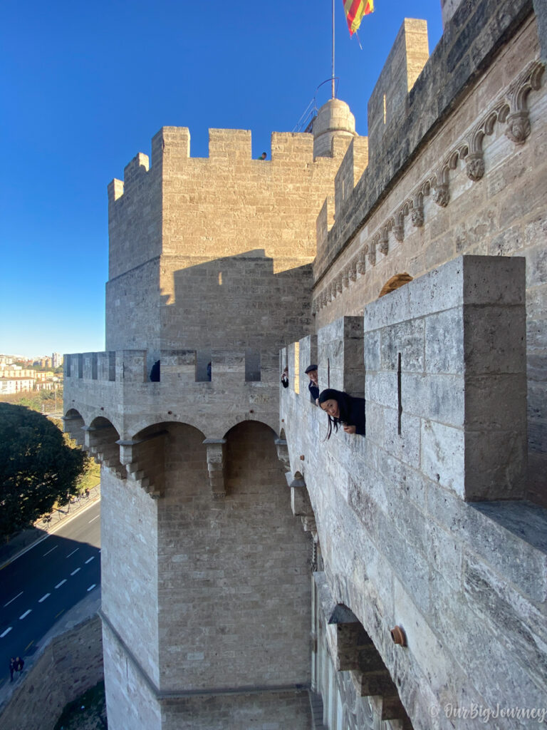 views from torres de serranos