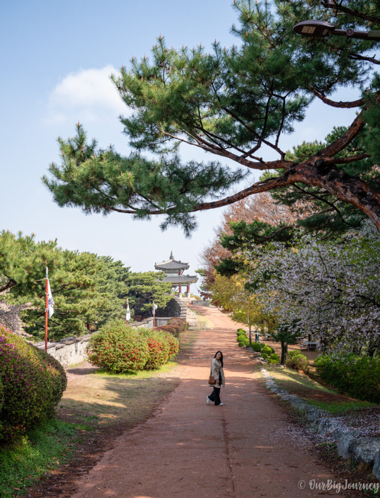 Walking along Suwon Hwaseong Fortress walls in spring