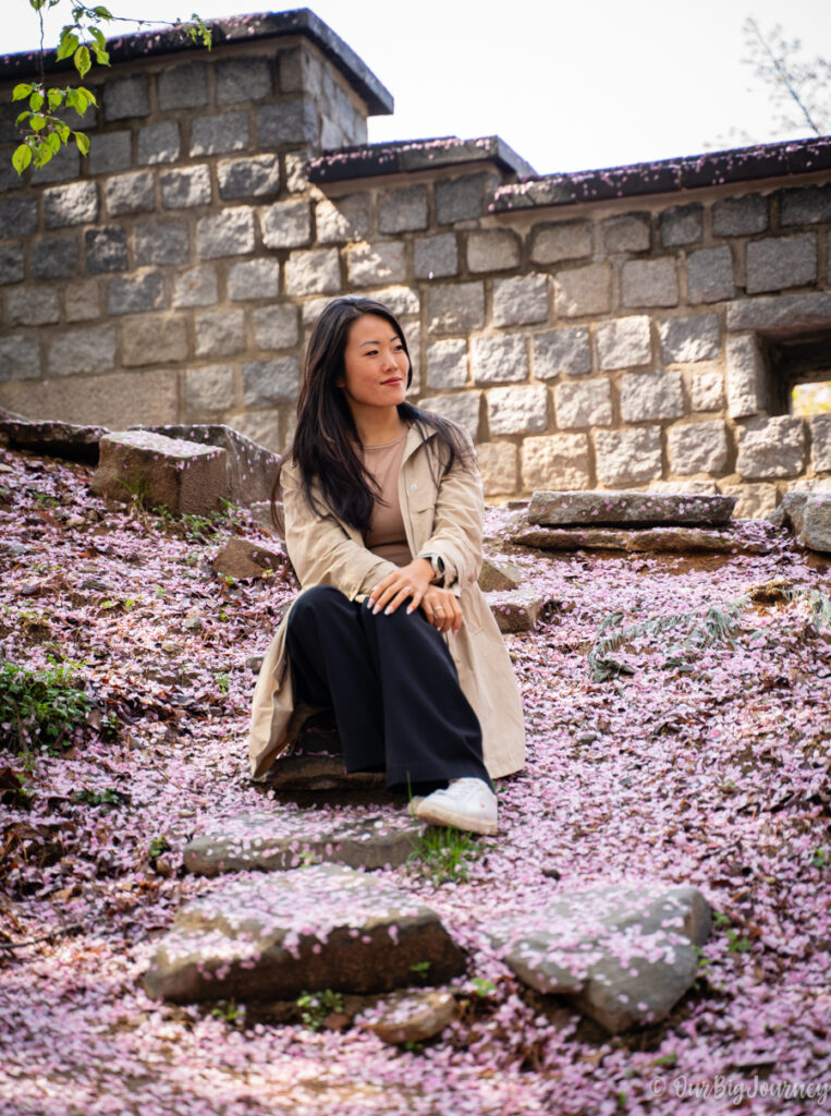 Best time to visit Suwon Hwaseong Fortress in spring with cherry blossoms