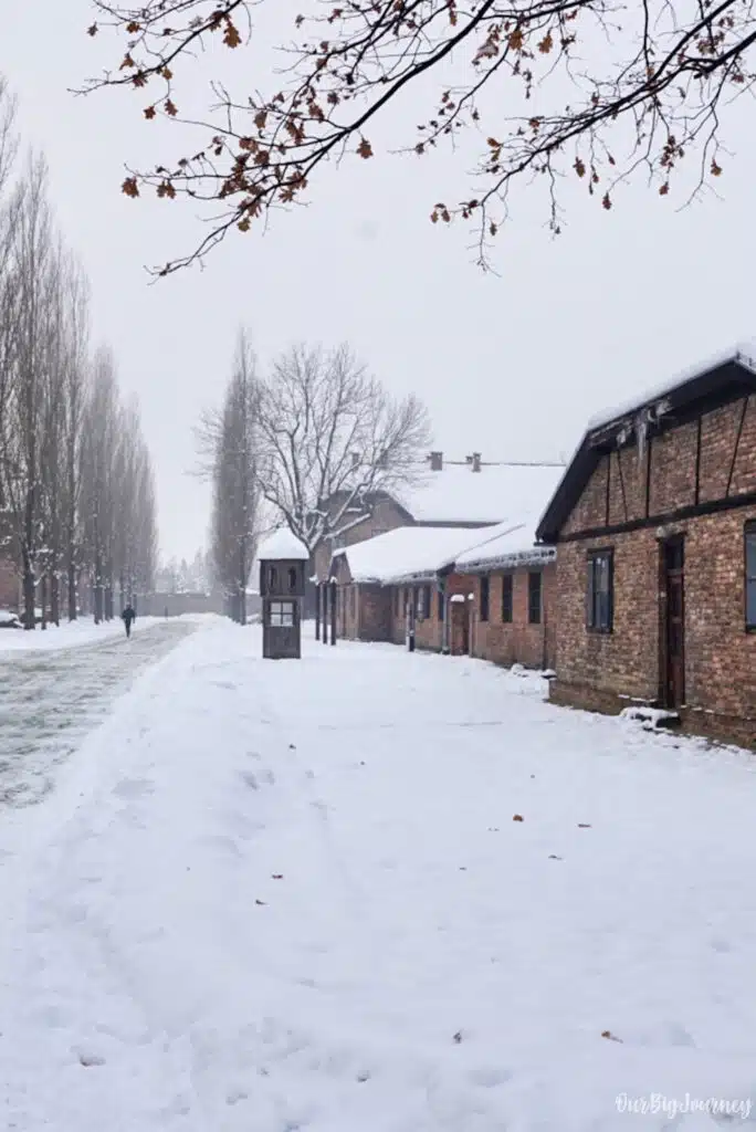 Auschwitz with snow